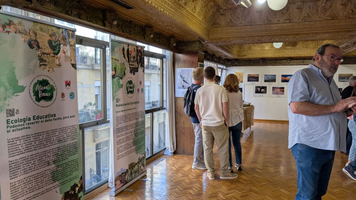 XIII Concurso de Fotografía Alicante Renace