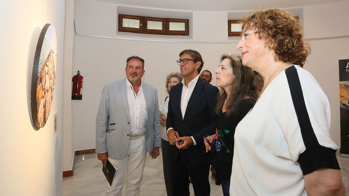 Nueva exposición en el Palacio Provincial de Alicante