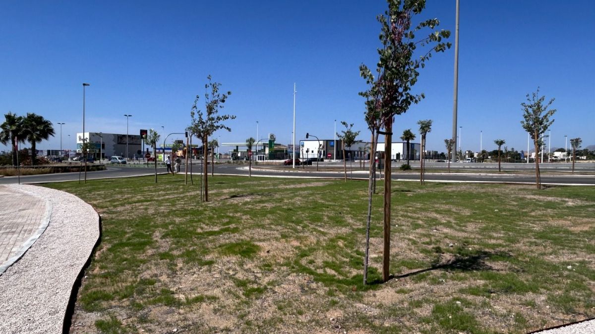 Nuevo ajardinamiento en la Ronda Oeste de Elche