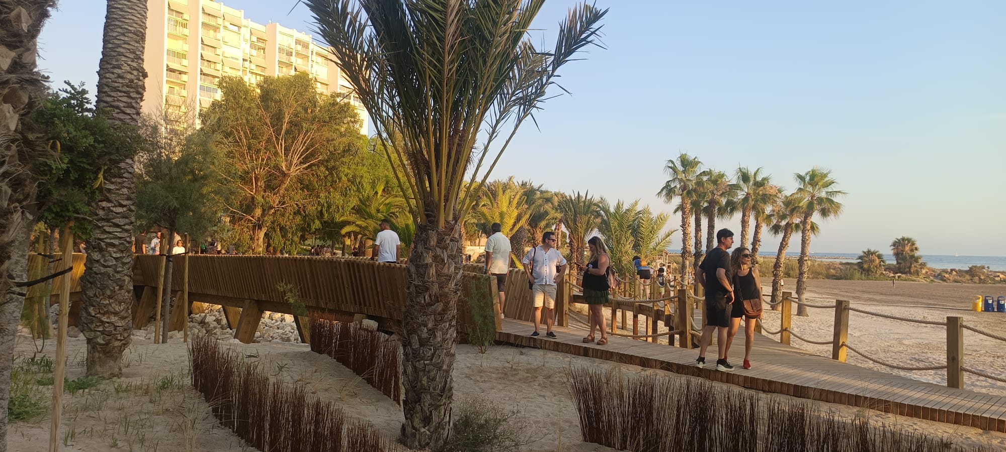 Passarel·les per als vianants en el nou parc de La Almadrava a Alacant Passarel·les per als vianants en el nou parc de La Almadrava a Alacant