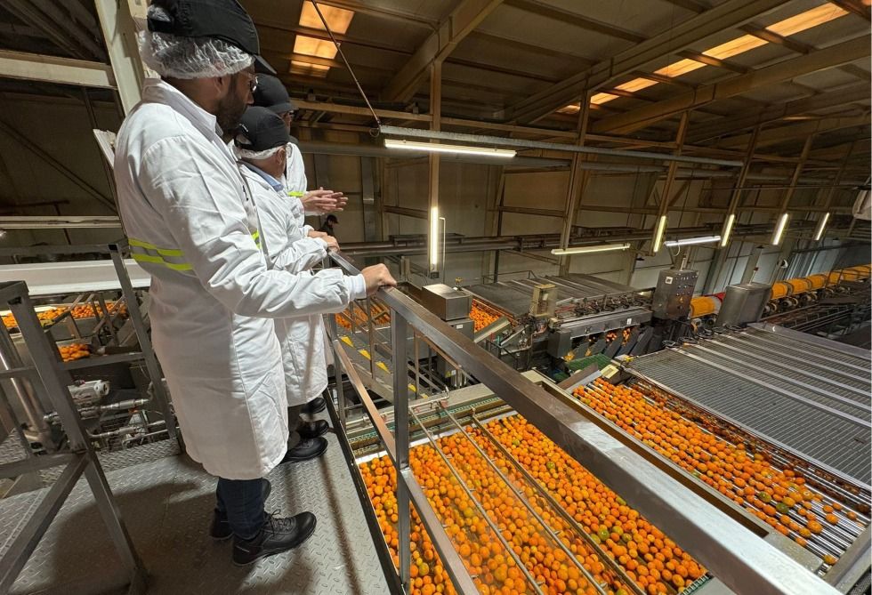 Una empresa citrícola en la Comunitat Valenciana Una empresa citrícola en la Comunitat Valenciana