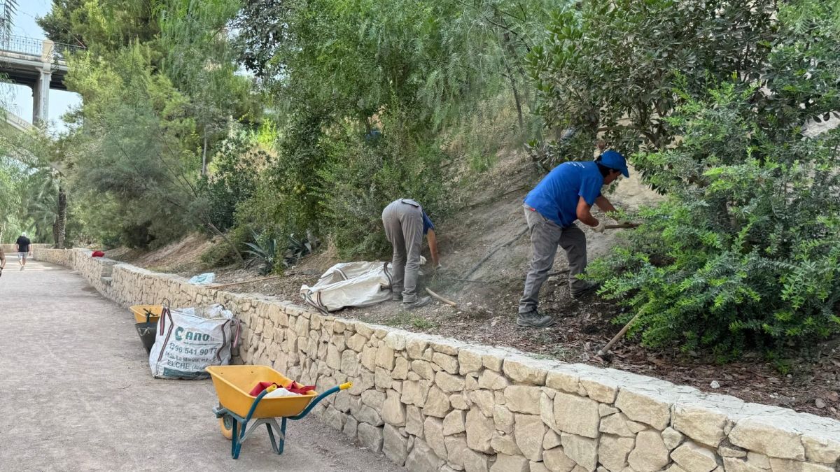 Treballadors dels cursos d'ocupació i formació en la ladera del Vinalopó Treballadors dels cursos d'ocupació i formació en la ladera del Vinalopó
