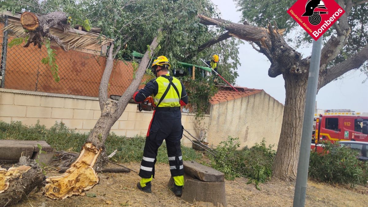 Intervenció dels bombers per arbres caiguts a Elda (Foto: CPBA) Intervenció dels bombers per arbres caiguts a Elda (Foto: CPBA)