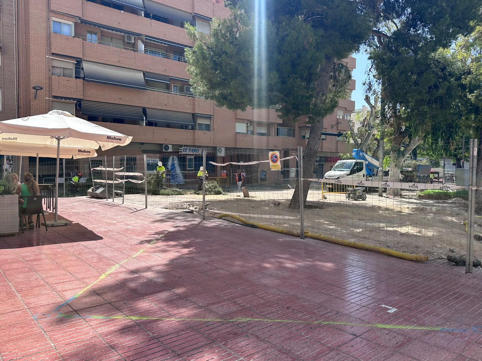 Tala de árboles en unas obras de San Vicente
