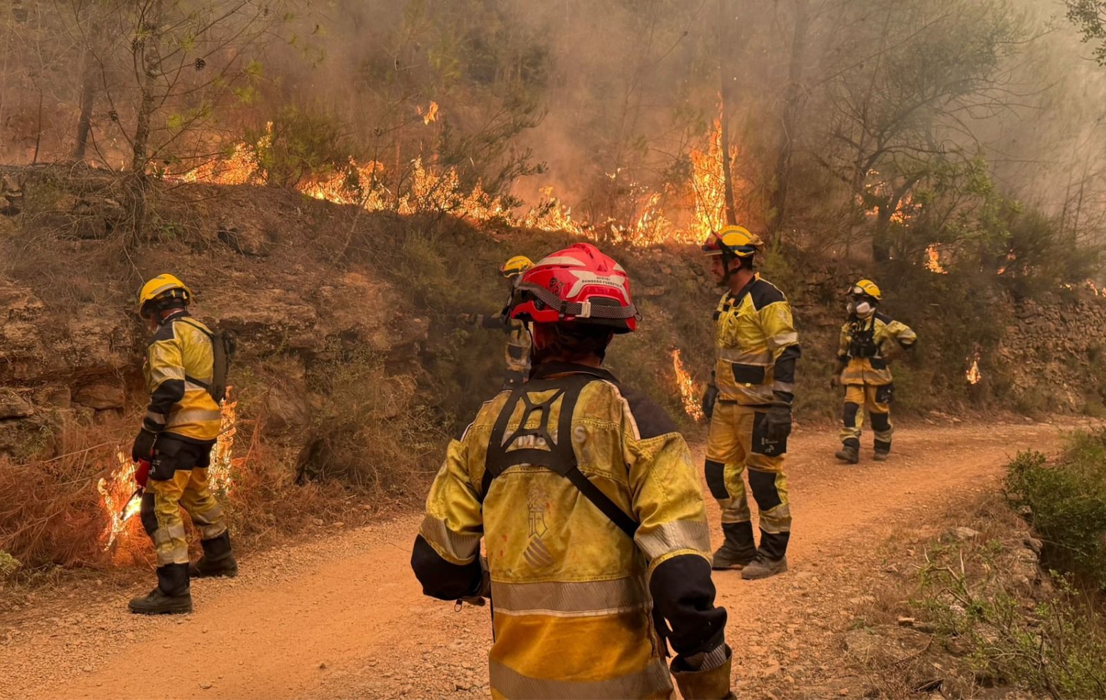 Bomberos en el incendio forestal de La Vall d'Uixò