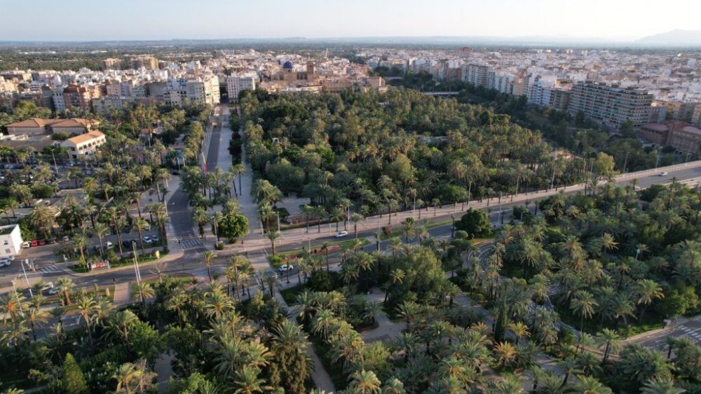Vista panorámica del Palmeral de Elche