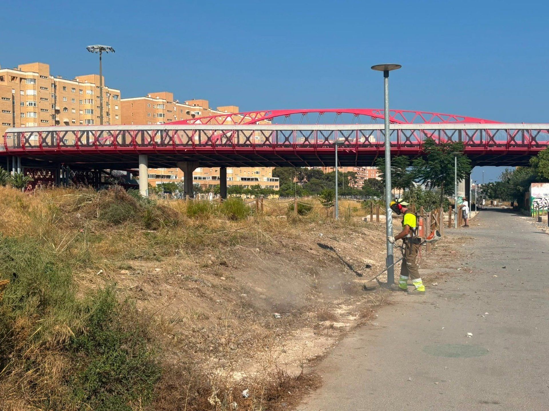 Treballs de neteja en la zona del futur Parc Central d'Alacant