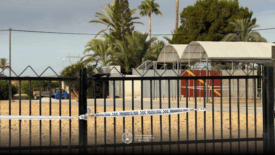 Nova campa il·legal clausurada a Elx Nova campa il·legal clausurada a Elx