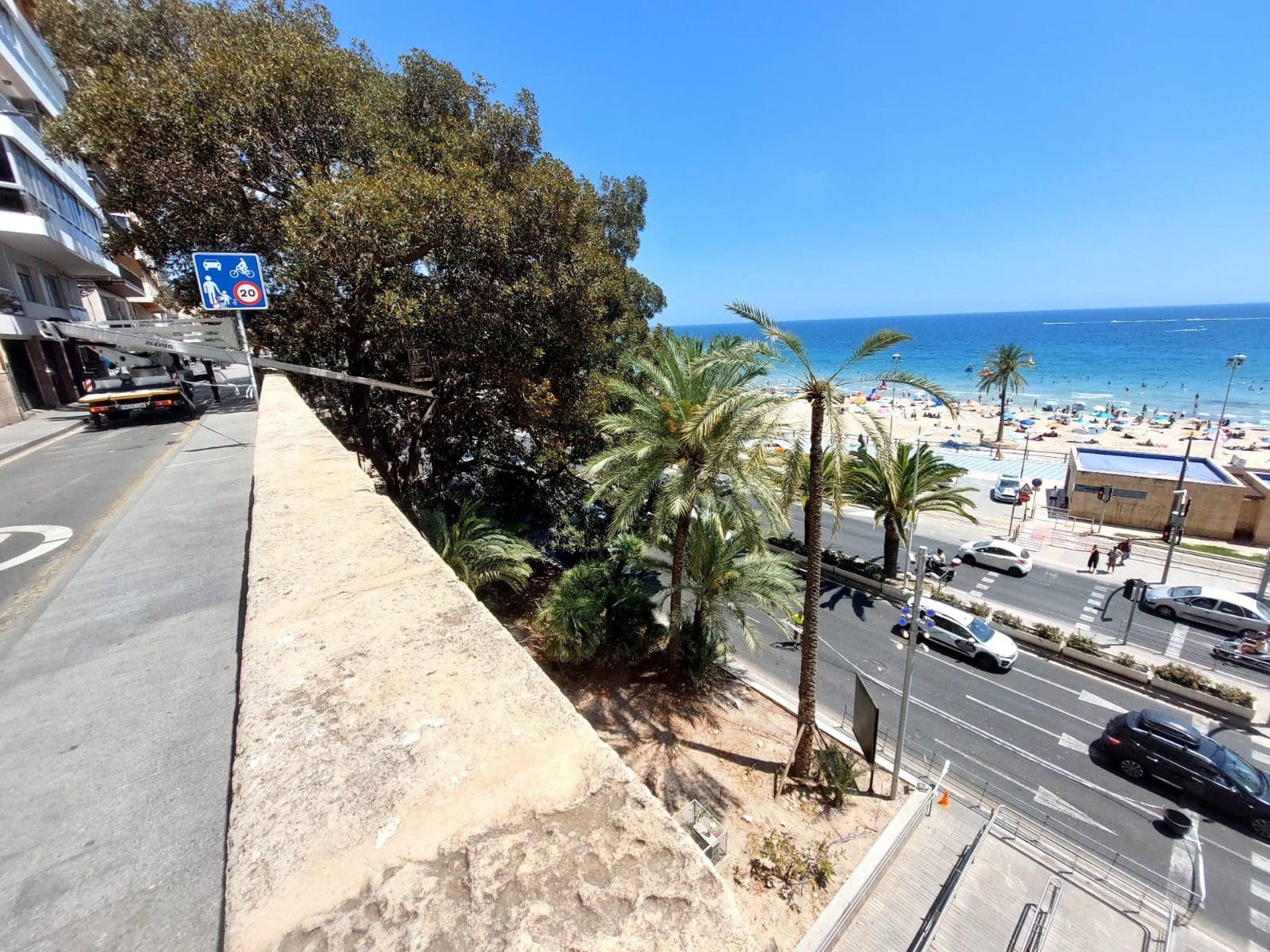 Sanean un ficus centenario del Raval Roig tras detectar una fisura de dos metros Sanean un ficus centenario del Raval Roig tras detectar una fisura de dos metros