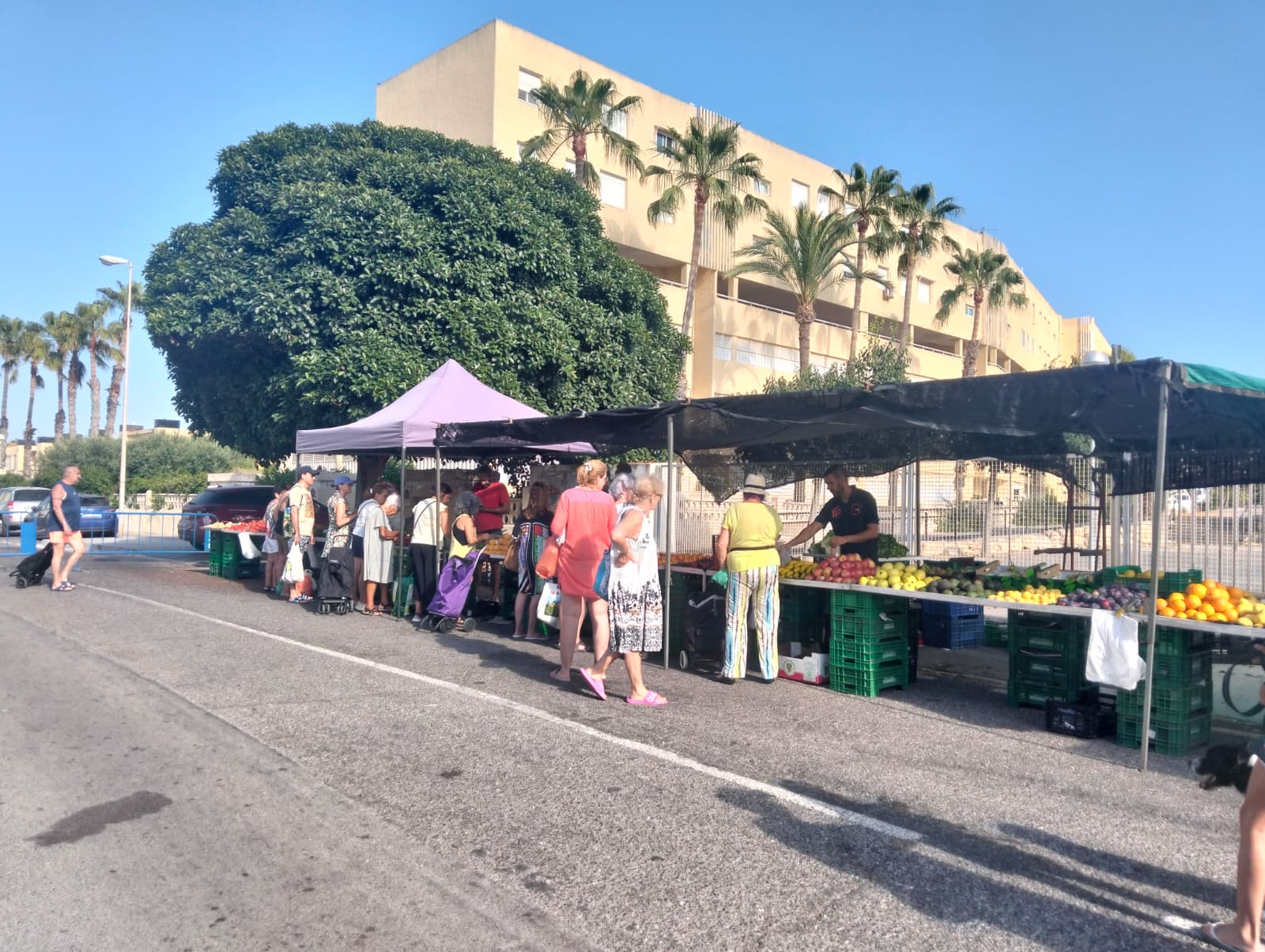Mercadillo de Urbanova Mercadillo de Urbanova