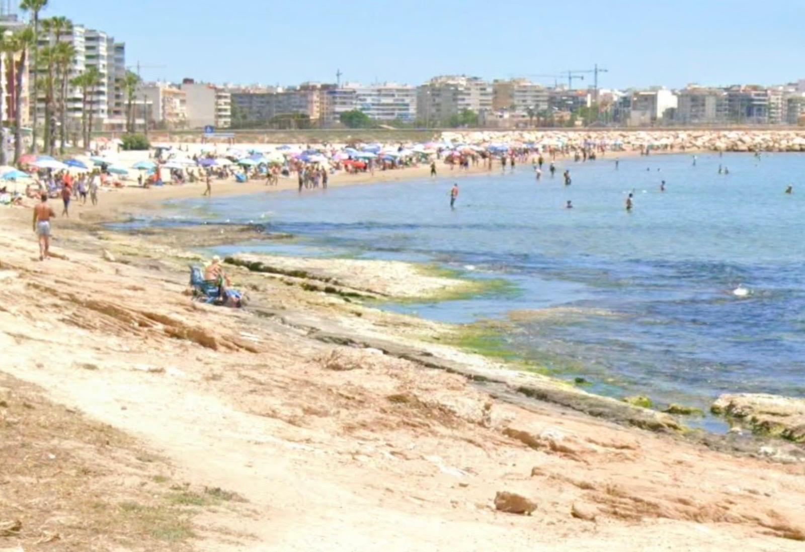 Solicitan la protección de una zona próxima a la playa de los Náufragos en Torrevieja