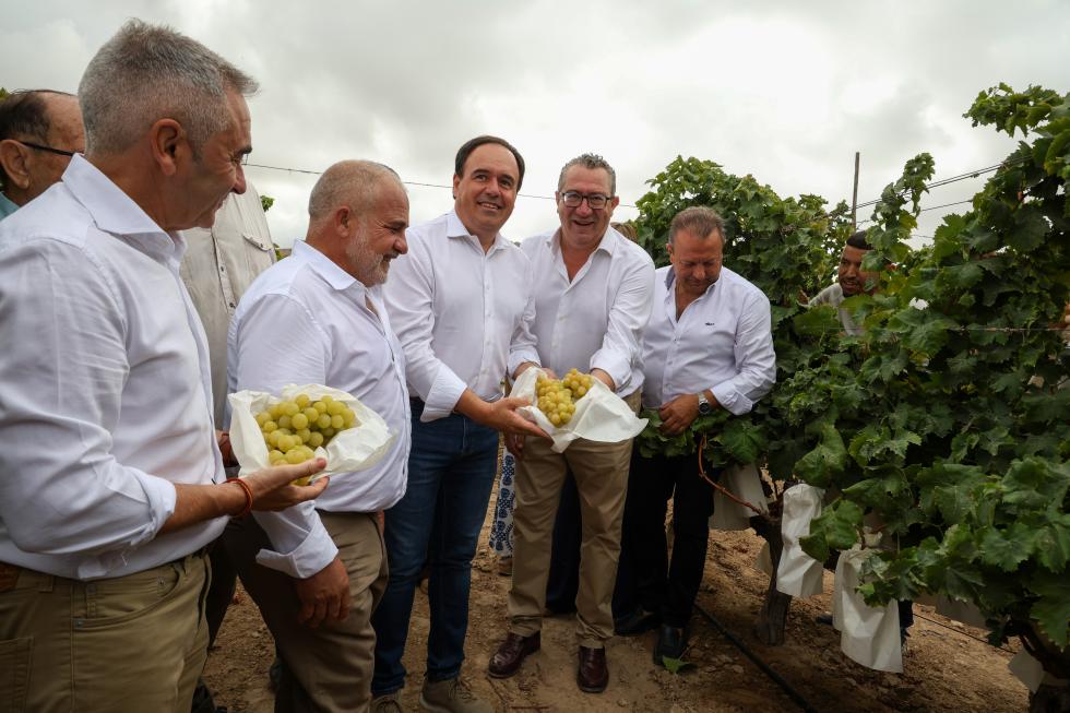 Corte de la Uva del Vinalopó Corte de la Uva del Vinalopó