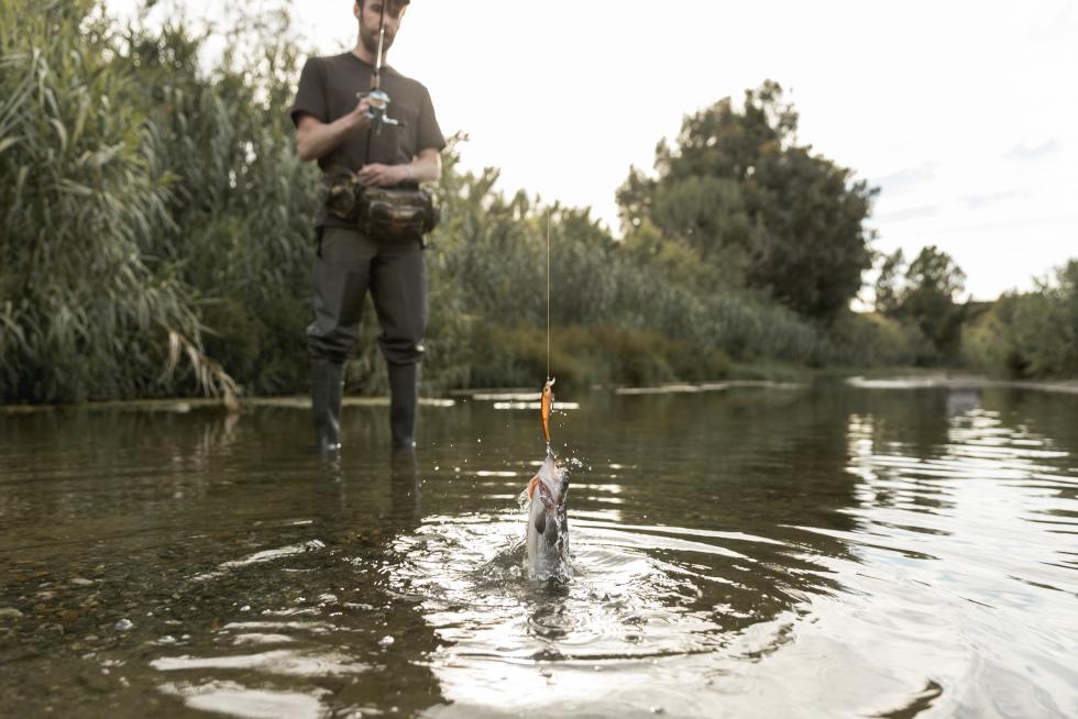 Pesca Pesca