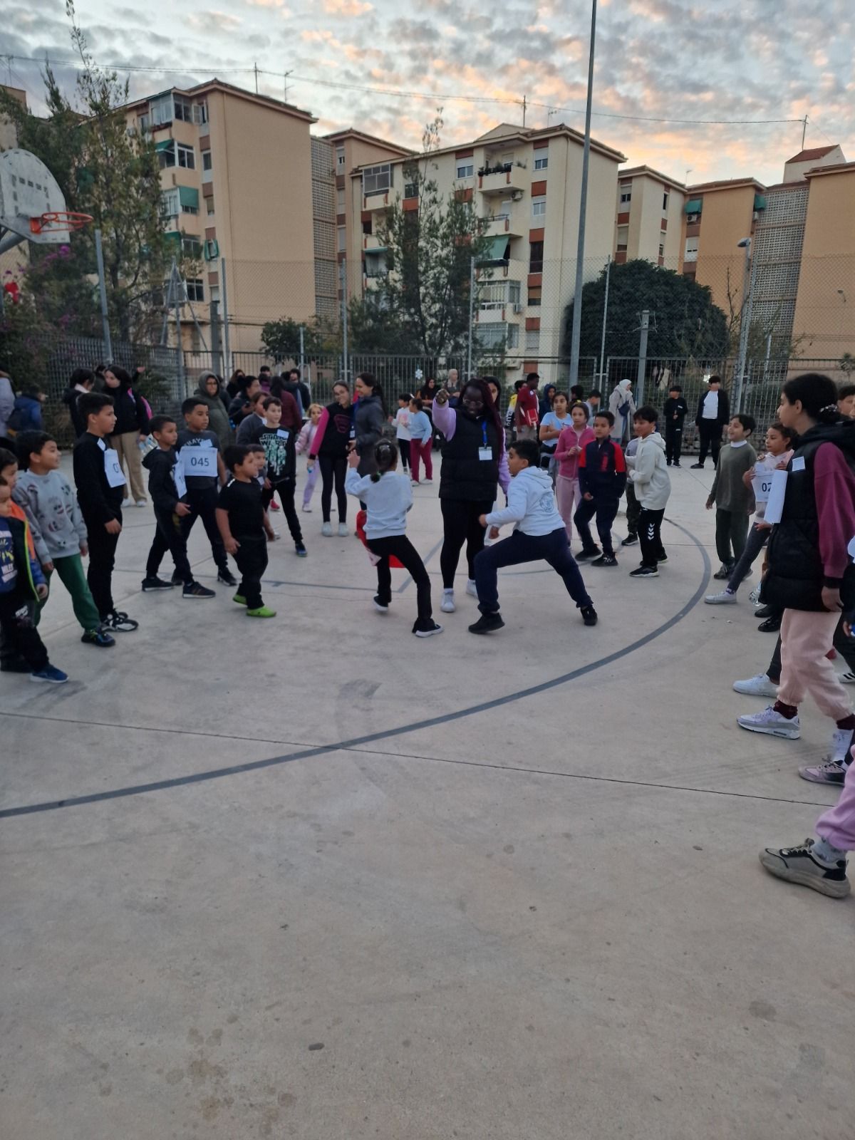 Activitats esportives per a menors a Alacant Activitats esportives per a menors a Alacant
