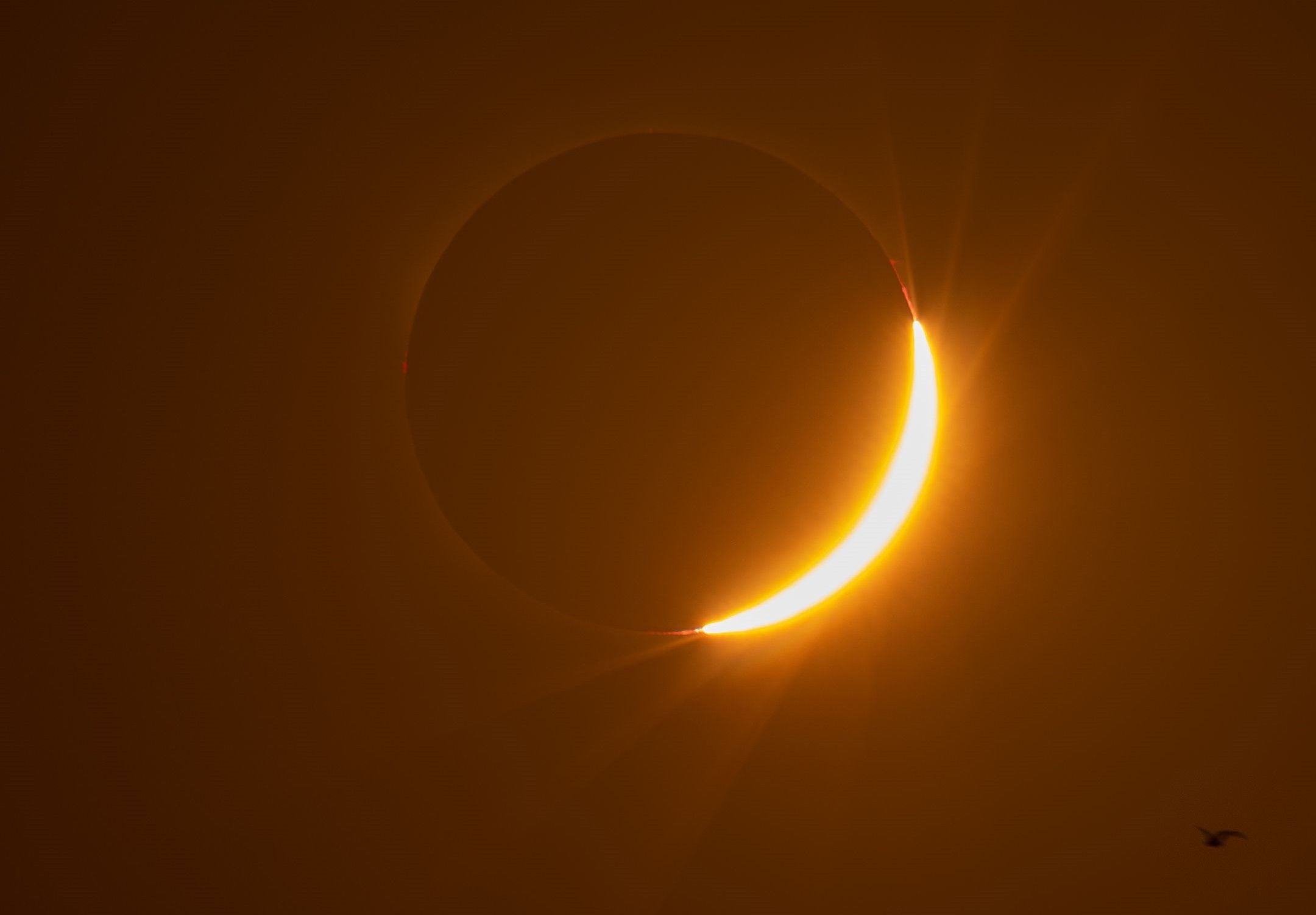 Un eclipsi solar Un eclipsi solar
