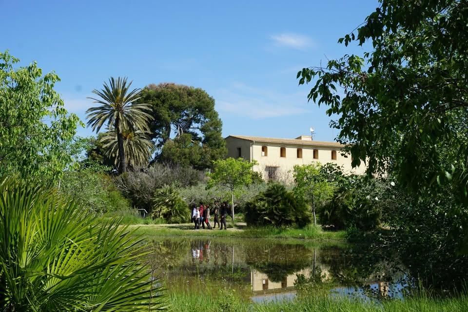 Campus del CEACV Campus del CEACV