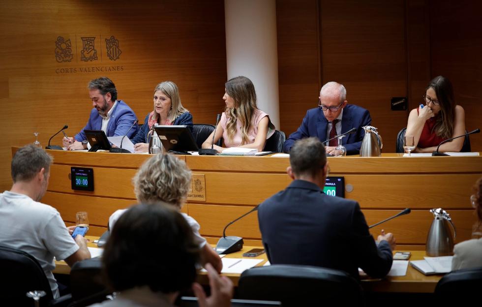 image?url=https%3A%2F%2Fcomunica.gva.es%2Fo%2Fadaptive media%2Fimage%2F415425503%2Fm%2F260925 FOTO1 Comisi%25C3%25B3n image?url=https%3A%2F%2Fcomunica.gva.es%2Fo%2Fadaptive media%2Fimage%2F415425503%2Fm%2F260925 FOTO1 Comisi%25C3%25B3n