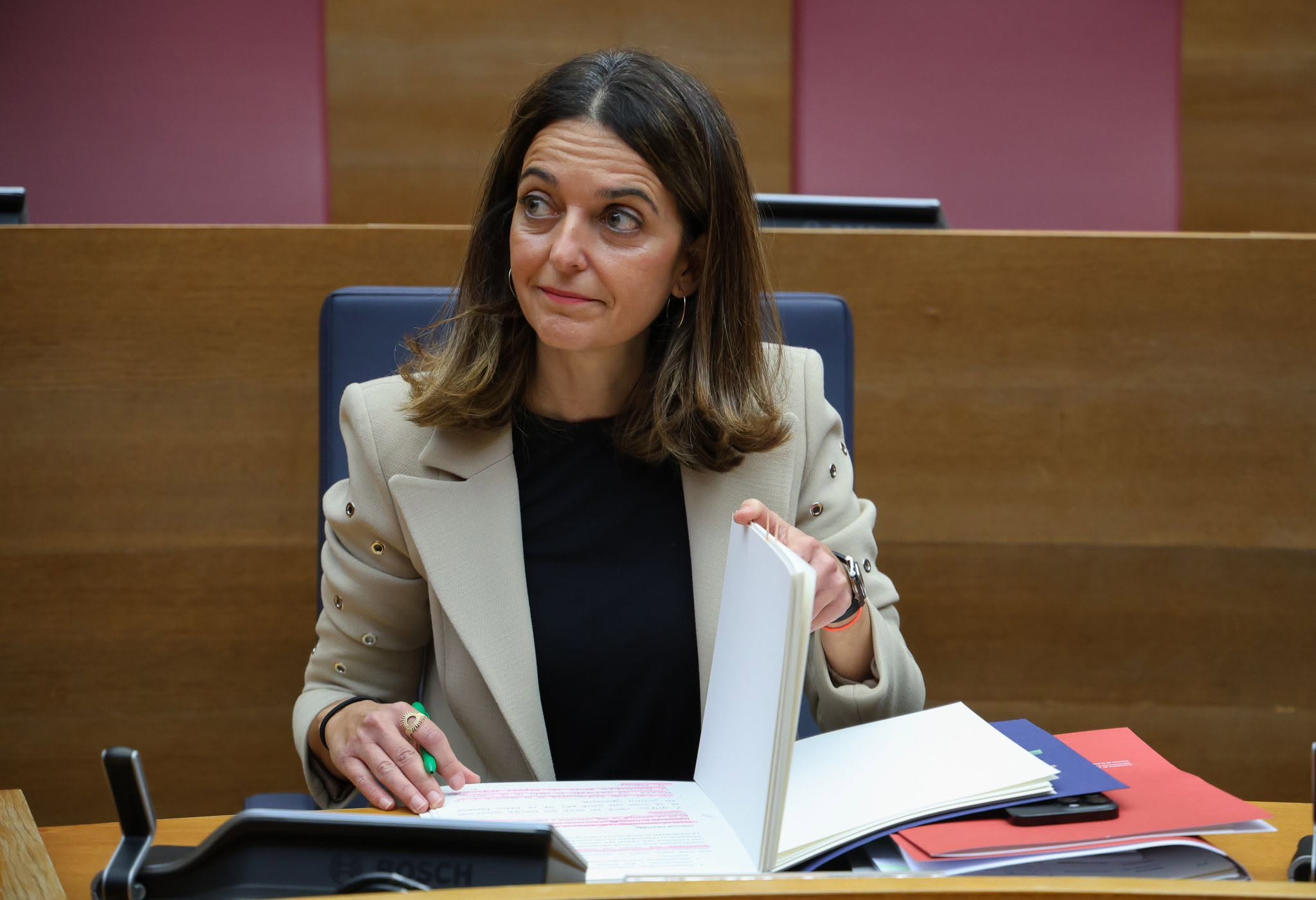 La consellera de Justicia, Nuria Martínez, en Les Corts La consellera de Justicia, Nuria Martínez, en Les Corts