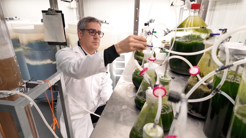 Un profesional de la salud trabajando en el laboratorio Un profesional de la salud trabajando en el laboratorio