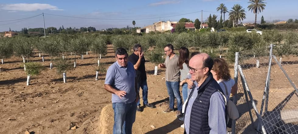 image?url=https%3A%2F%2Fcomunica.gva.es%2Fo%2Fadaptive media%2Fimage%2F416329308%2Fm%2Fmarhuenda%2B1 image?url=https%3A%2F%2Fcomunica.gva.es%2Fo%2Fadaptive media%2Fimage%2F416329308%2Fm%2Fmarhuenda%2B1