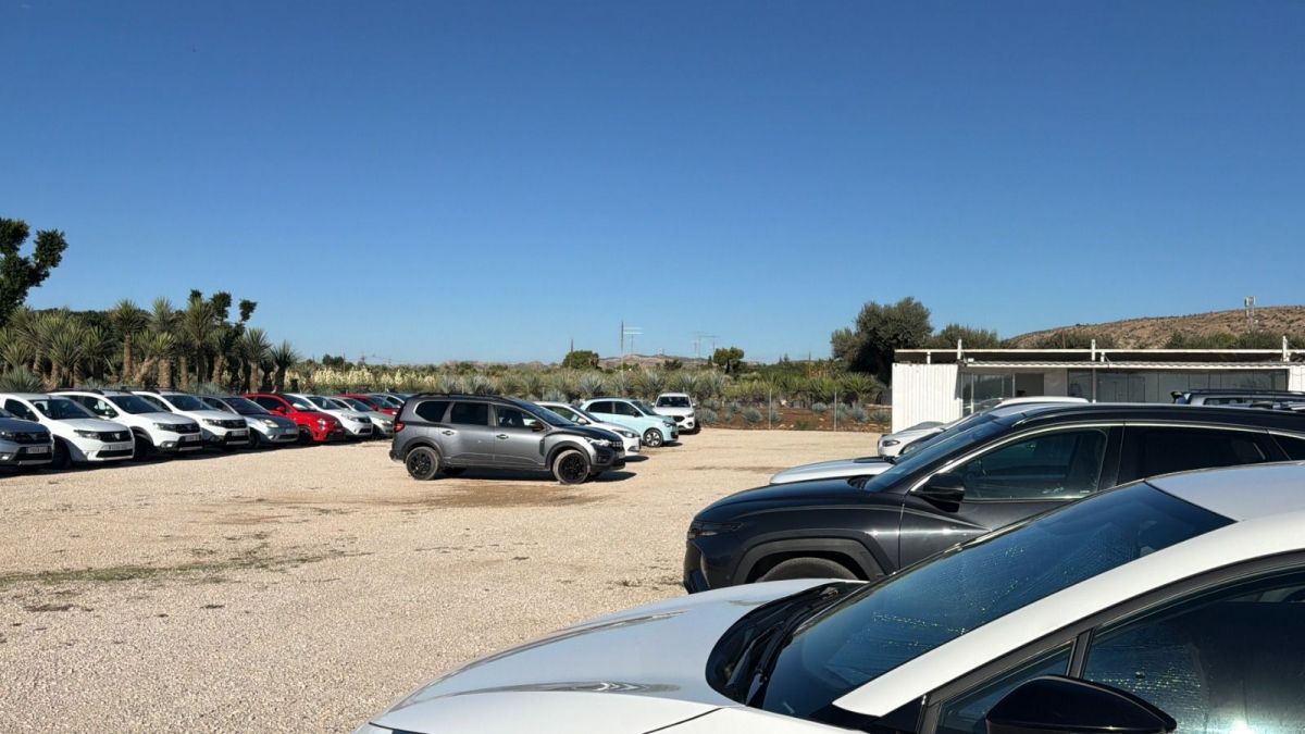 Campa ilegal clausurada en Elche Campa ilegal clausurada en Elche