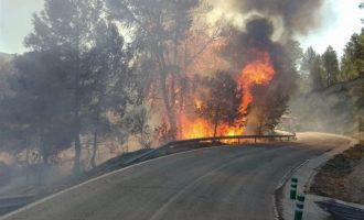 Bombers extingeixen quatre incendis forestals que s'han declarat a la província en dues hores