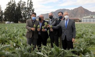 Mazón: "La visita de la ministra Ribera a Alacant és una burla als regants i agricultors de la província"