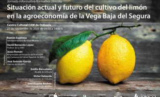 El Instituto Juan Gil-Albert organizada una jornada informativa sobre la agroeconomía en la Vega Baja