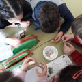 Exigen a la Conselleria la retirada urgente de amianto en tres colegios de Alicante