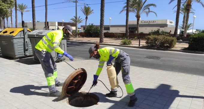 Alicante mantiene el refuerzo contra las plagas de roedores y cucarachas ante las elevadas temperaturas