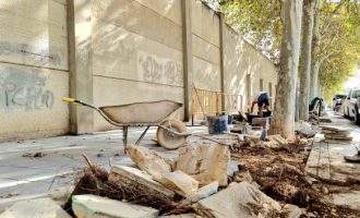 Elda renova les voreres de l'avinguda de Ronda per a millorar l'accessibilitat i evitar que les arrels dels arbres alcen el paviment