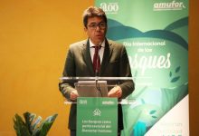 Mazón destaca les ajudes de la Diputació per a protegir el Medi Ambient en el Dia Mundial dels Boscos