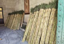 VÍDEO: les tradicionals canyes de la Santa Faç ja esperen als alacantins