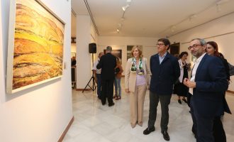 El Palacio Provincial acoge una muestra del artista ilicitano Tomás Almela
