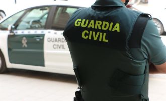 Un conductor porta un porc mort en la seua furgoneta i el multen amb més d'un milió d'euros a Torrevella