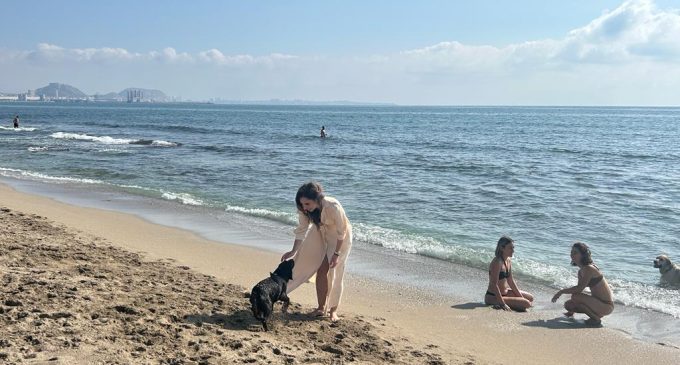 Centenars de persones gaudeixen de la “Doggy Beach” d'Alacant aquest estiu amb tots els serveis