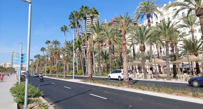 La reurbanització del Passeig dels Màrtirs amplia el palmerar de la façana litoral del centre d'Alacant