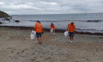 Els Magatzems OBRAMAT d'Alacant i Finestrat desenvolupen una acció de recollida de plàstics a Tabarca en col·laboració amb Impulsalicante i l'Ajuntament d'Alacant