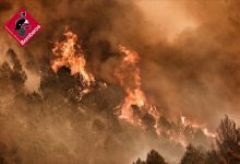 Estabilizado el incendio forestal de Tàrbena: las personas evacuadas regresan a sus casas